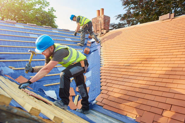 Best Skylight Installation and Repair  in West Memphis, AR